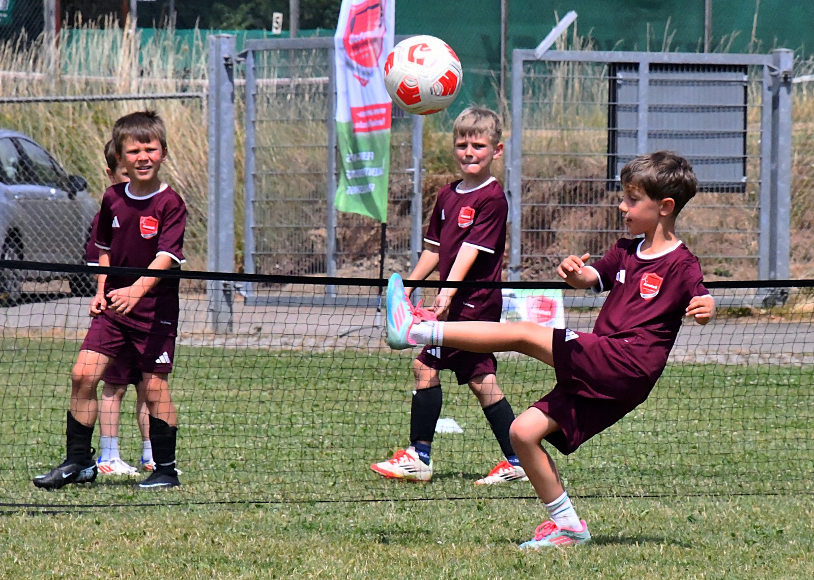 Read more about the article Die Sommercamps im Rückblick – und was nun kommt